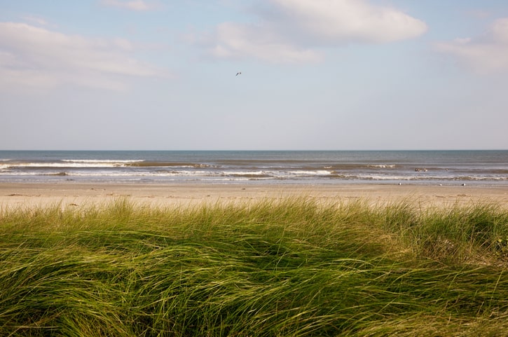 Sea Rim State Park, Texas