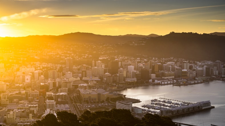 Te Aro and Wellington Harbor