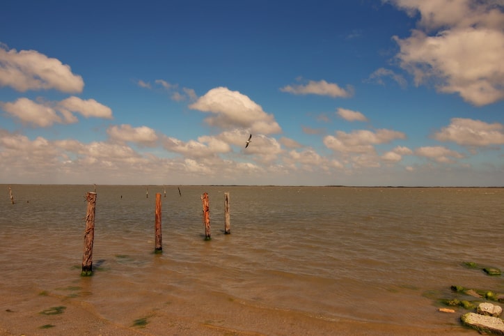 Laguna Madre Beach, Texas