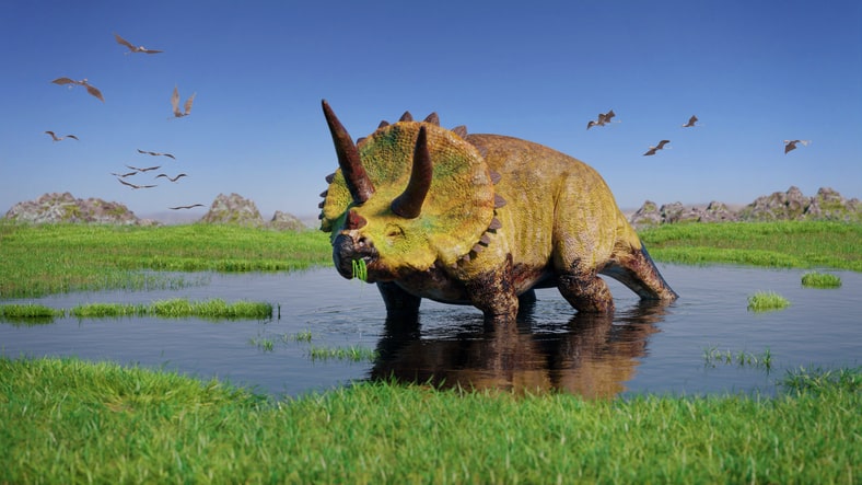 Triceratops