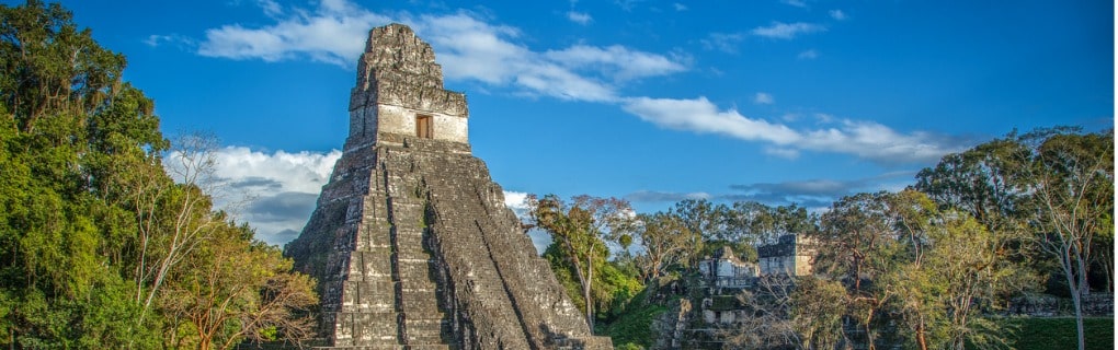 Maya Pyramid in Tikal