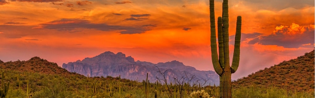 Sonoran Desert, Arizona