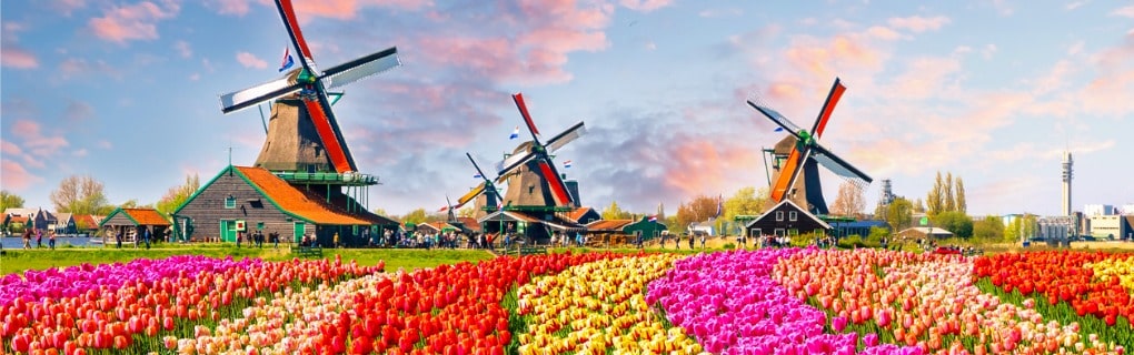 Traditional dutch windmills and houses