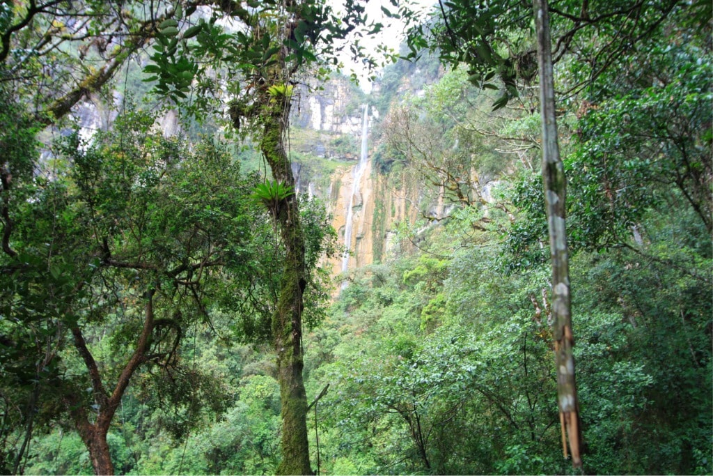 Yumbilla Falls, Peru