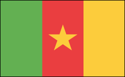 Flag of Cameroon