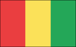 Flag of Guinea