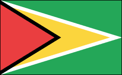 Flag of Guyana