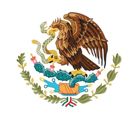 Mexican Flag