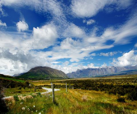 Lord of the Rings Landscape