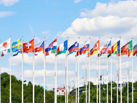 Flags lined up