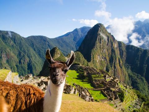 Machu Picchu