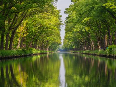 Canal in Belgium