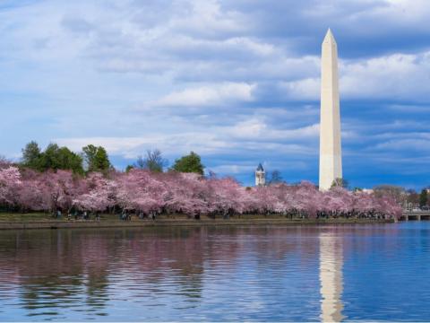 The Washington Monument