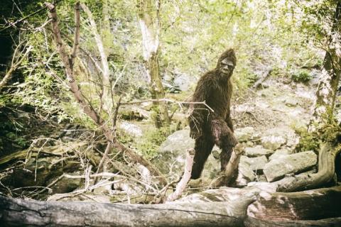 Bigfoot