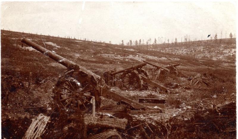 The French defeated the Germans in the Battle of Verdun.